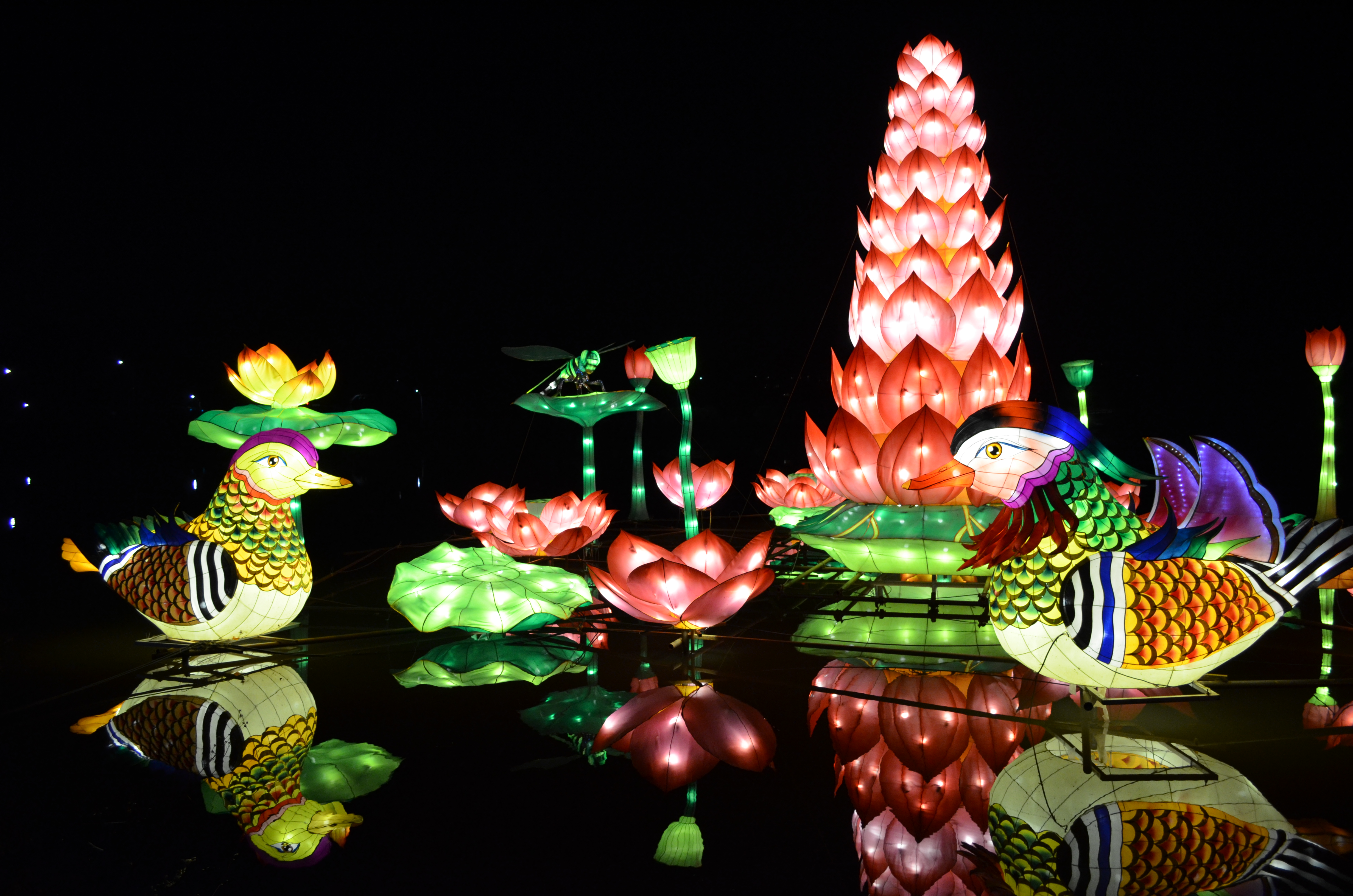 ./2015/33 - Chinese Lantern Festival/DSC_0634.JPG